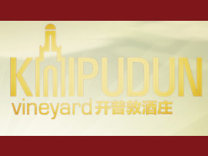 P(yng)(gu)HQ(mo)޹˾