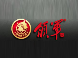 Fʡʑé_(ti)(zhn)I(lng)܊ƘI(y)޹˾