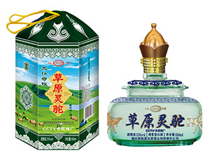 aֹˌԴƘI(y)؟(z)ι˾