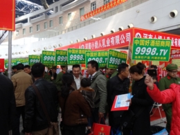 2014ǾƕþƾW(wng)MоչʾcƏV