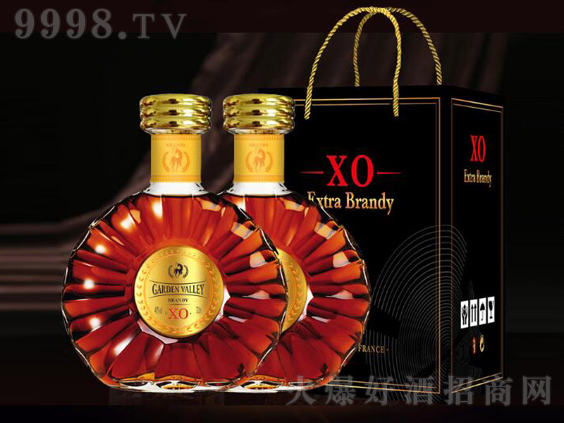 @ȡƁXOmغС40 700ml