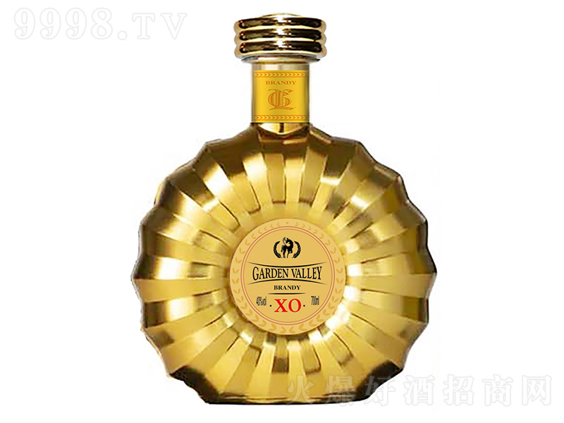 @ȡƁXOmؽס40 700ml