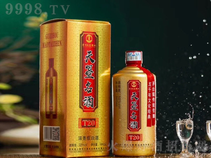 ơT20 uͰ׾ơ53 500ml-׾Ϣ