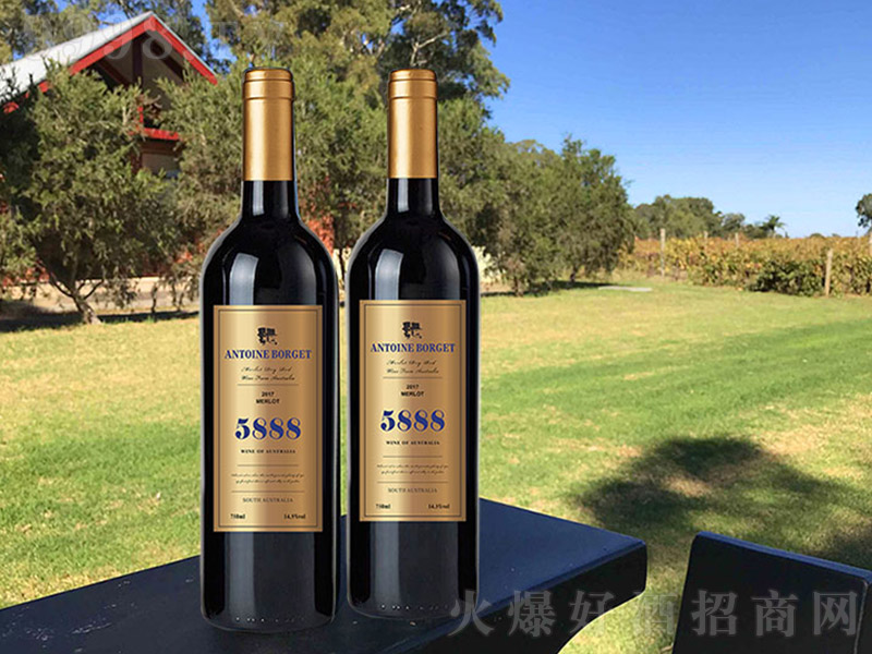 5888ӸɼtS(bio)13 750ml-tϢ