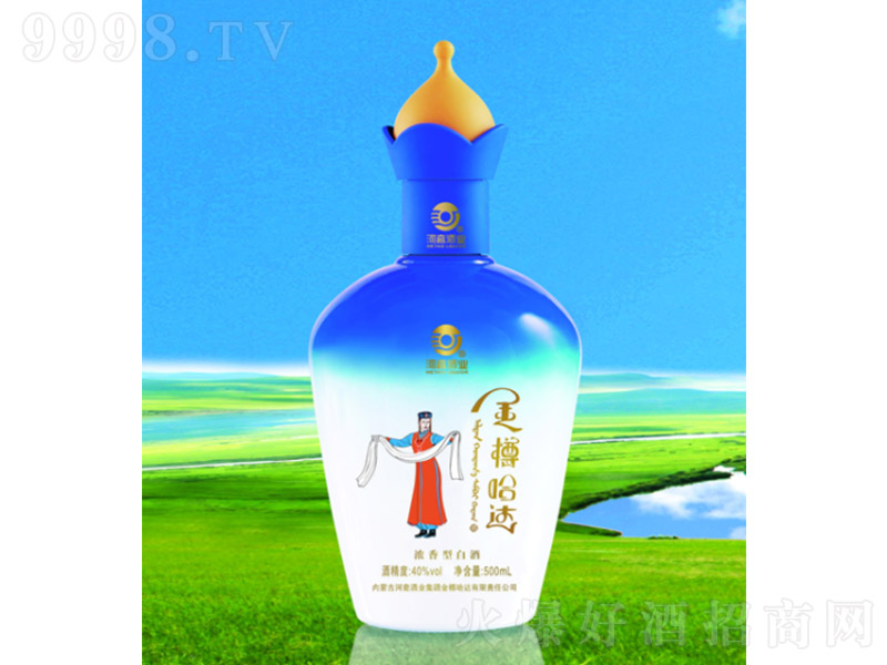 ׹_(d)@ Ͱ׾ơ40 500ml