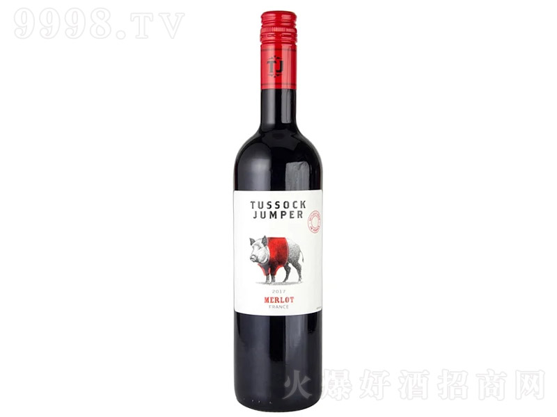 t(l)@(gu)÷ɼtѾơ13 750ml