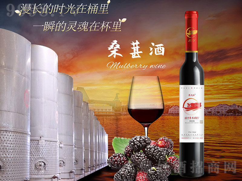 tɣؾơ16 375ml-خa(chn)Ϣ