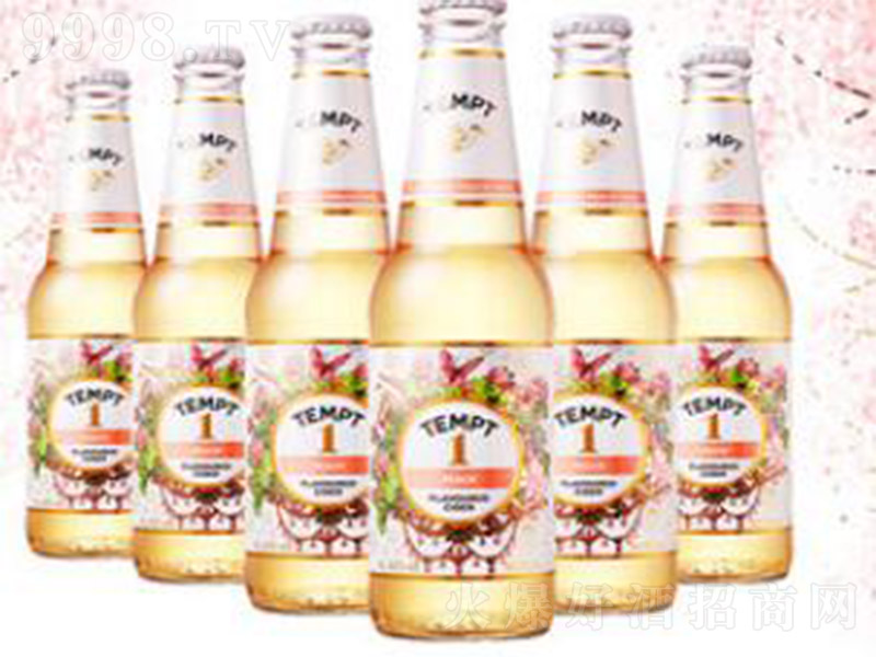 TEMPT-CIDERT1̖(ho)4330ml