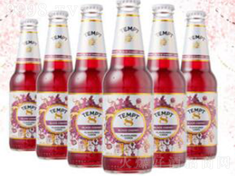 TEMPT-CIDERT8̖(ho)4330ml