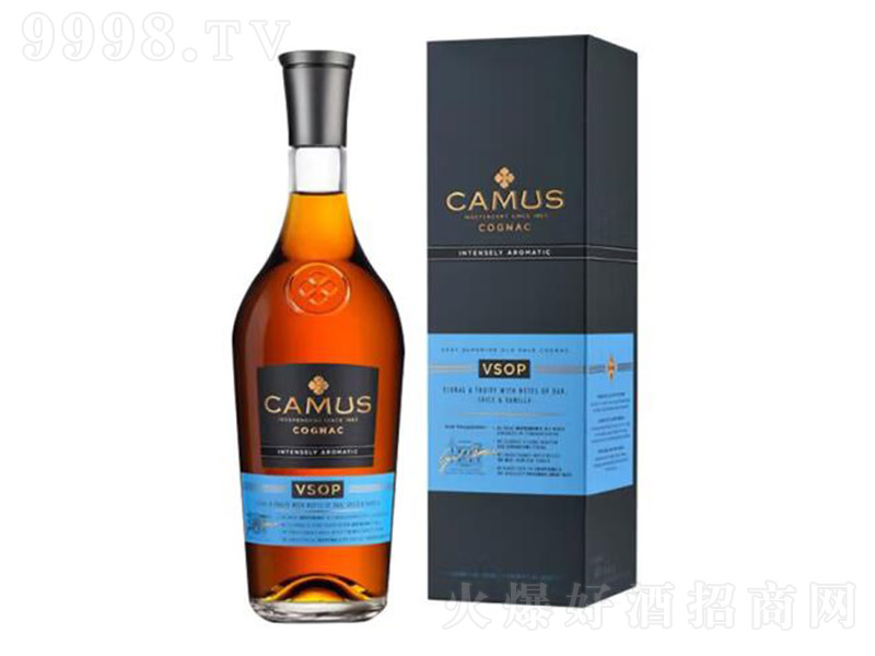 𻨿ĽVSOP(j)ذm700ml