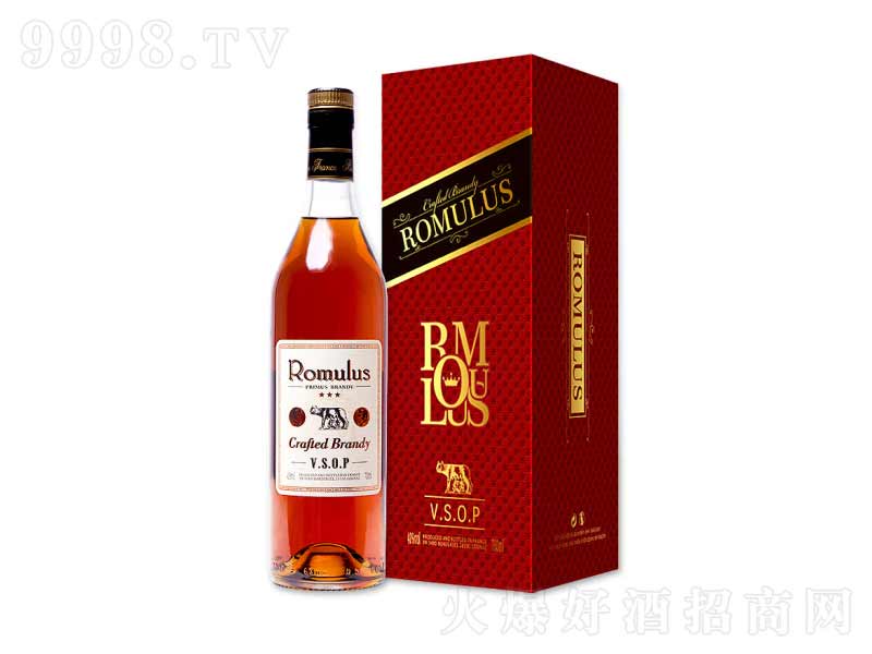 ƷԭƿM(jn)_Ľ·˹vsopmء40700ml