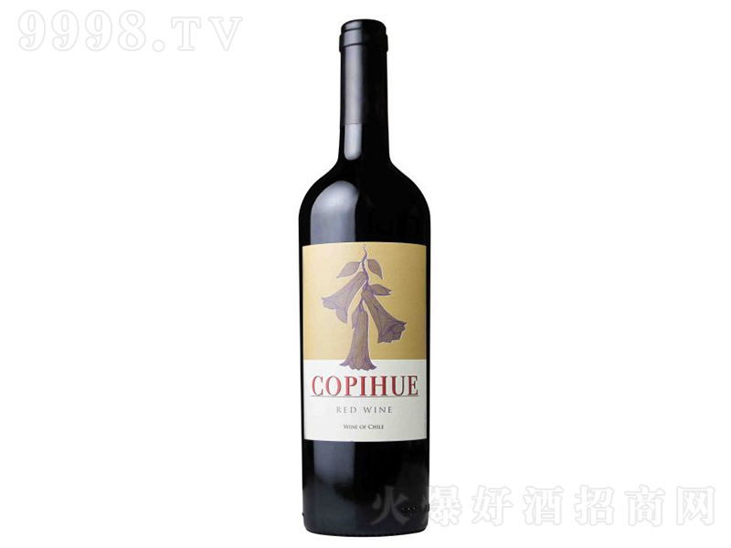 йL(fng)⏸ɼtѾơ750ml