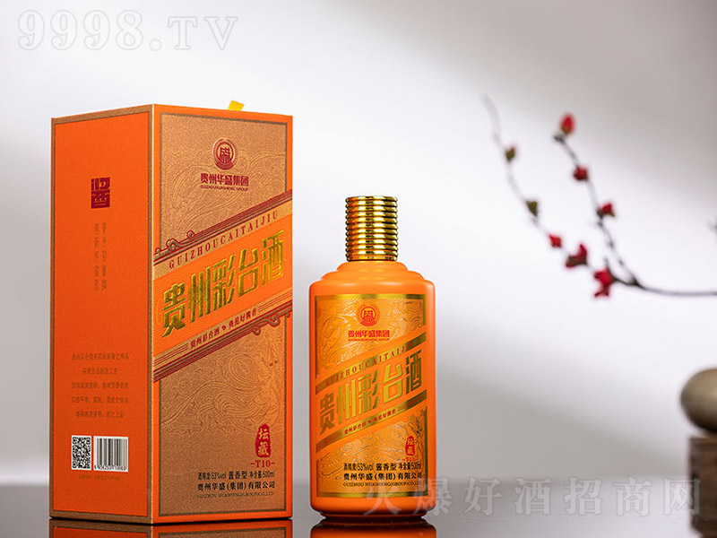 Fݲ_(ti)ƉT10 u͡53 500ml