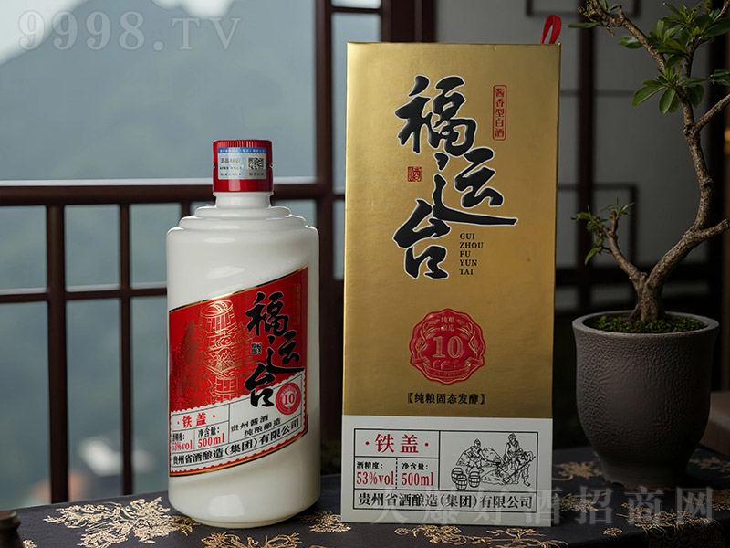 \(yn)_(ti)Fw10 u͡53 500ml