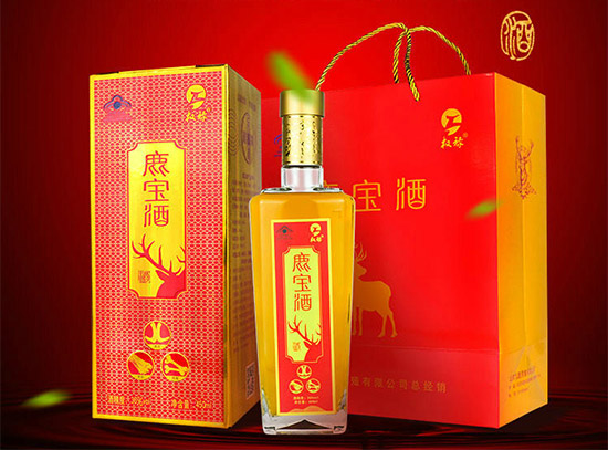 36ș(qun)¹B(yng)450ml2YЃrX