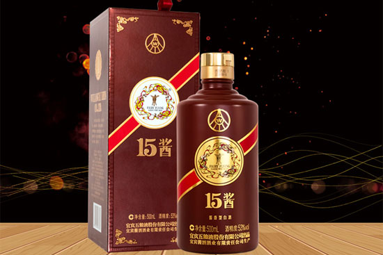 53ZҺ15uֹ棩uͰ׾ƃrXһƿ