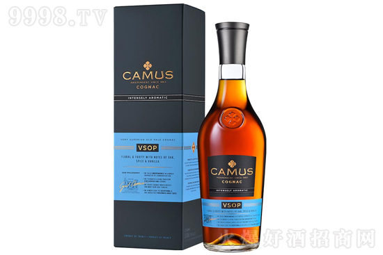 𻨿ĽVSOPذm700mlrX