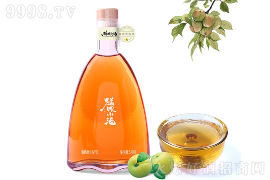 8؈hС520÷ l(f)͵Ͷ΢520mlr(ji)񣬶X