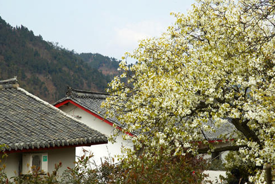 ɶػơl(xing)+滨l(xing) r(nng)彨O(sh)