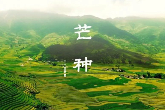 âN | һھƷζqµĝ