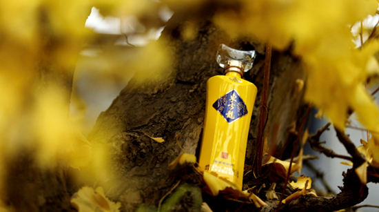 6¡u؛|t߉݋ʲô