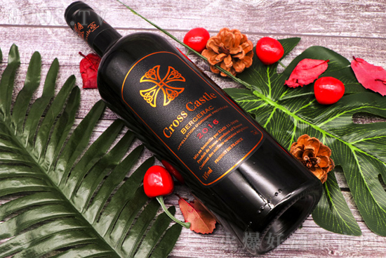 (ni)pЈɼt׌pf̙C