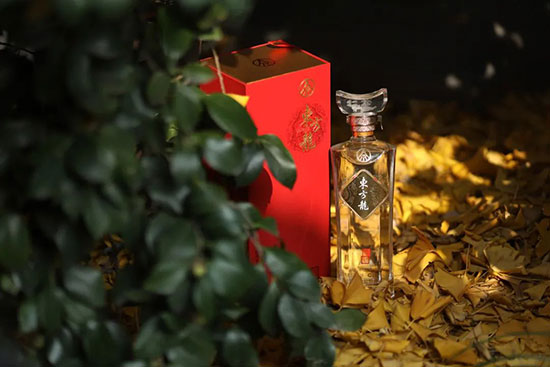 ʮľаՈ(w)Ҫ̖