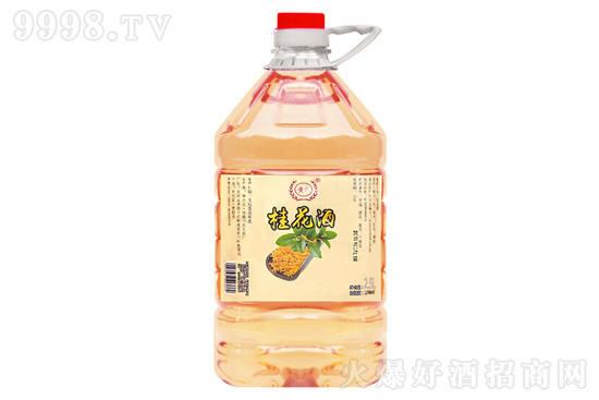 12SϻơSϹ𻨾2.5LrX