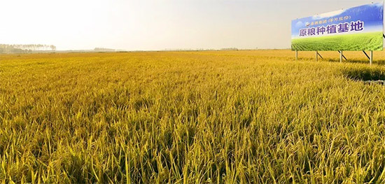 ٫@J(rn)ɣӹɷݱ衰ʡM(fi)(chung)\ƷI(y)