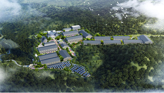 é_(zhn)ǰʮľƏSFݹᄷƘI(y)é_(zhn)