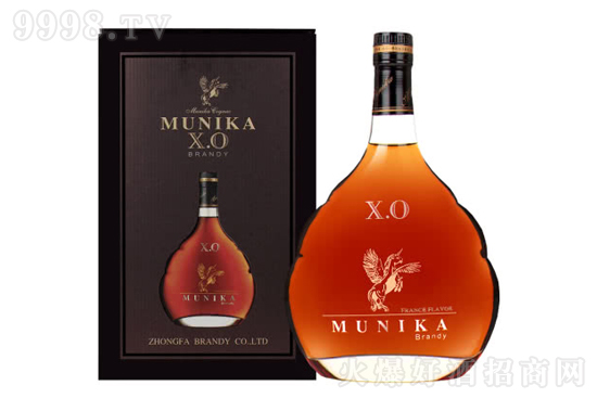 40㿨XOưm1000mlr񣬶X