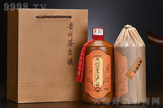 53Au(y)ux500mlr(ji)X