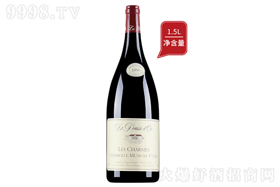 13Sf㲨˼ĵɼtѾ2016 1.5LrX