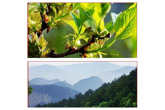 _(chung)ݱSƷ|ϪزݱSƔث@2023Aױ(xing)s