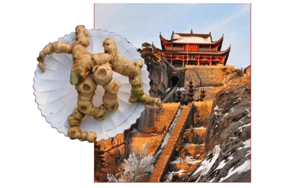 _(chung)ݱSƷ|ϪزݱSƔث@2023Aױ(xing)s