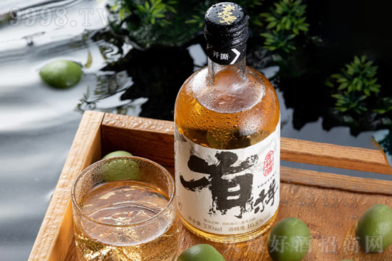 10.8И÷ƽ(jng)330mlrX