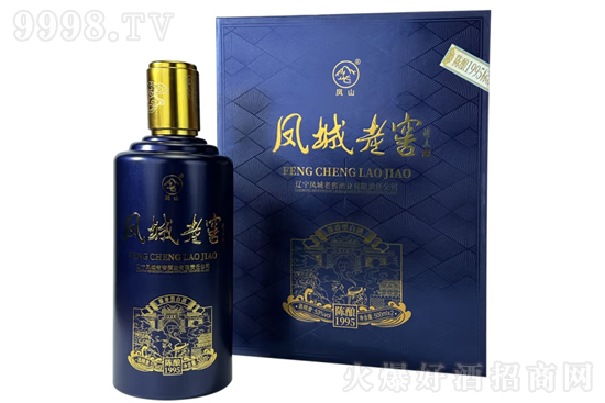 53PϽѡPɽ1995 500mlr(ji)X