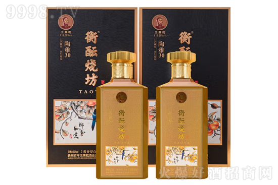 53j30 500mlr(ji)X