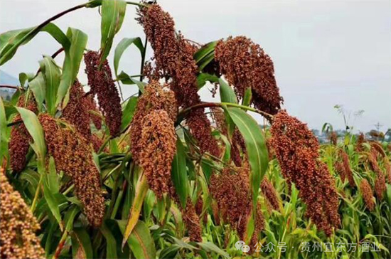 ˖|ث@Ї(gu)ƘI(y)AĪ(jing)I(lng)u³