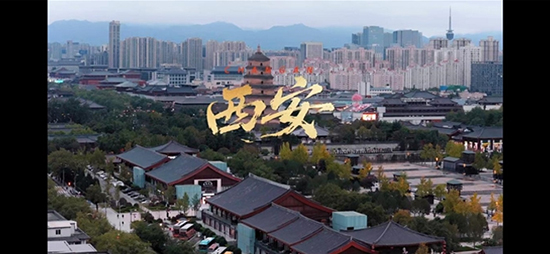 ʳB(yng)վȾ̼ˮʳB(yng)ЇžƽiŶ+؝ǻ