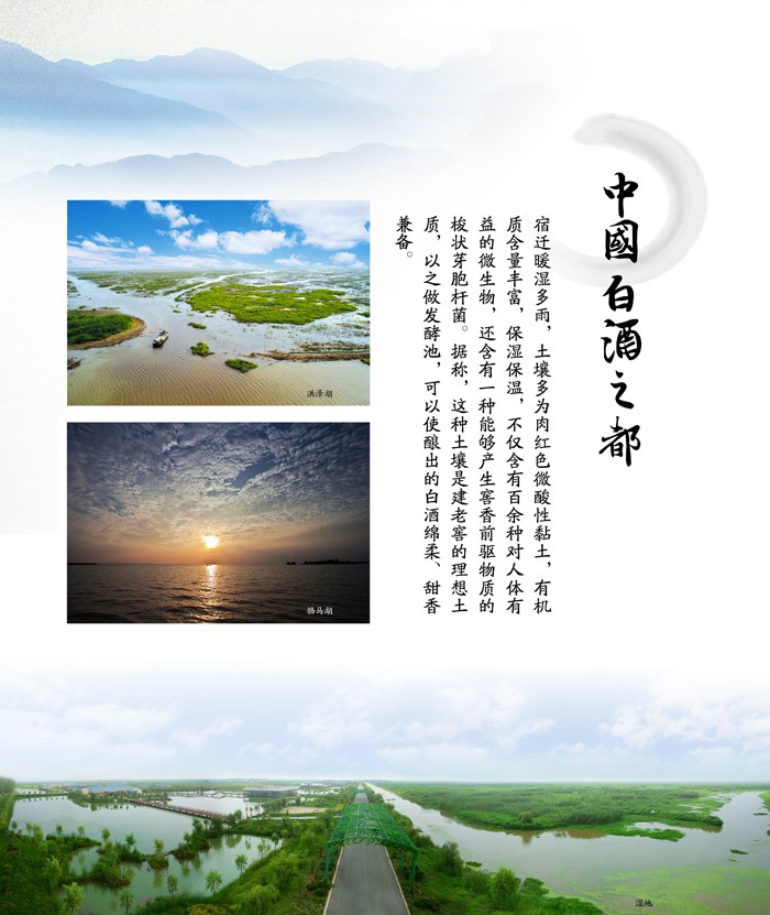 江蘇洋河酒廠股份有限公司