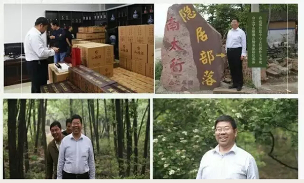 l(xing)ɽ֮Q(mo)޹˾