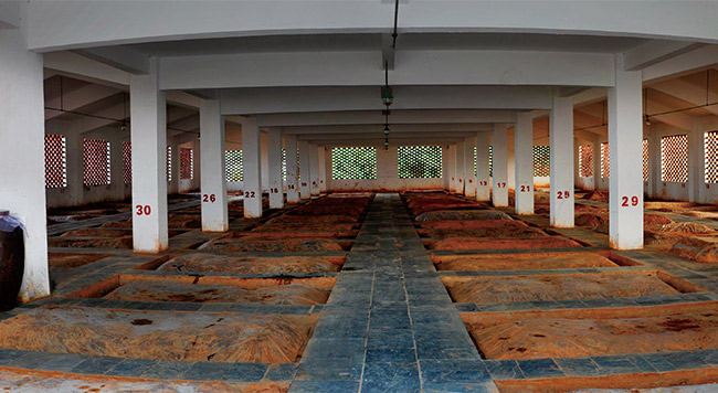 饒州窖藏16濃香型白酒【46度500ml】