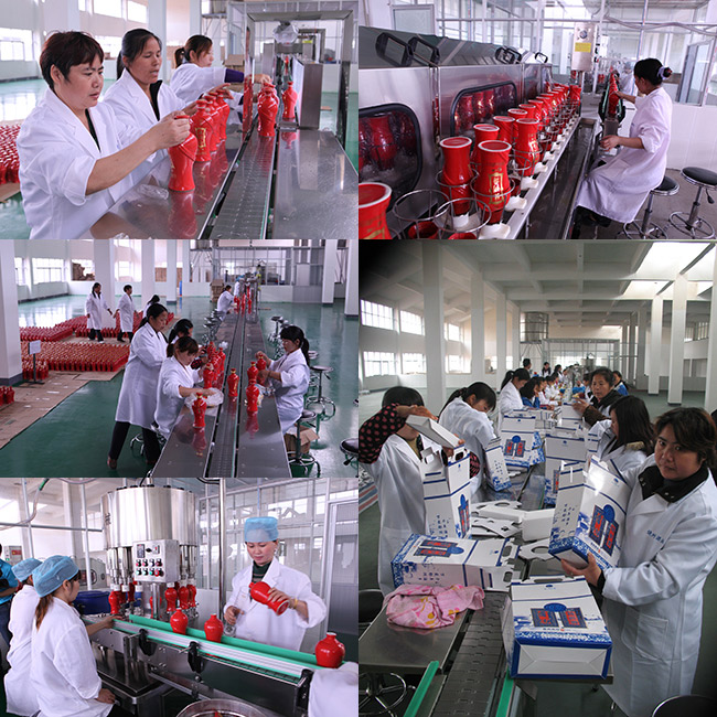 饒州窖藏16濃香型白酒【46度500ml】