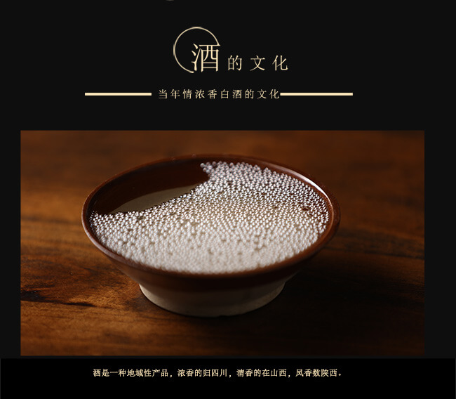 川美酒陶壇老酒10濃香型白酒【52°50