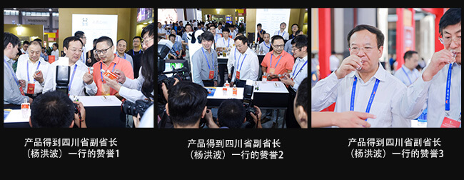 川美酒陶壇老酒10濃香型白酒【52°50