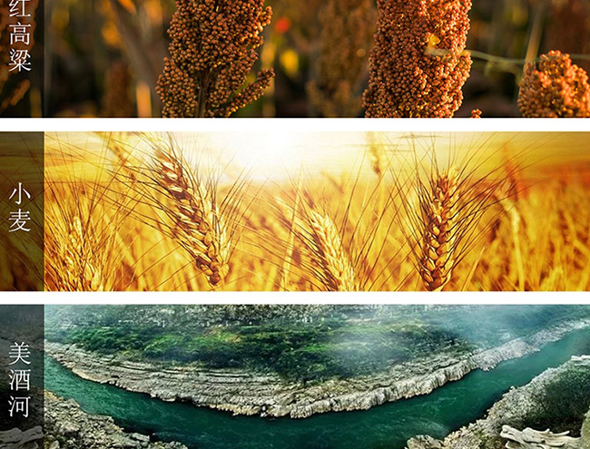 茅臺醇酒1992柔和醬香型白酒【53°500ml】