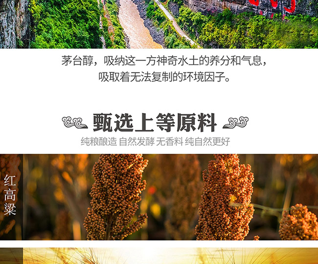 é_(ti)1998uͰ׾ơ53500ml