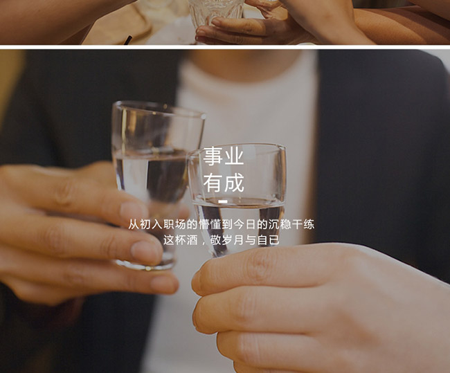 茅臺醇酒2008柔和醬香型白酒【53°500ml】