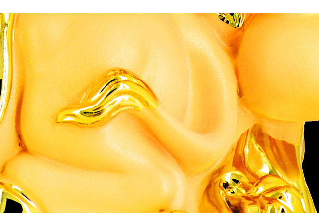 ˇg(sh)YƷƺduͰ׾ơ521L